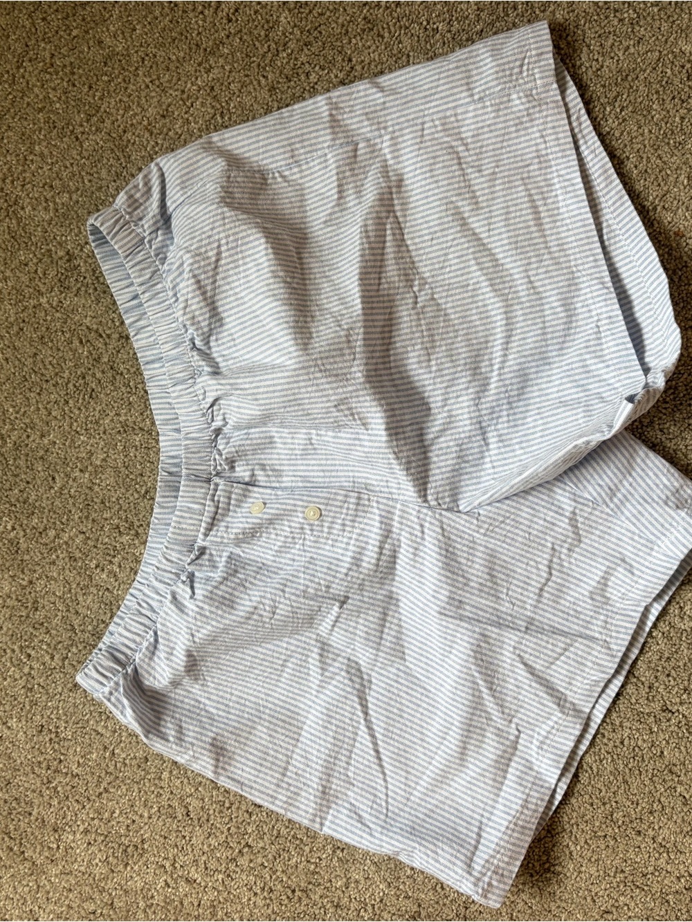 Brandy Melville Light Blue & White Striped Button Shorts